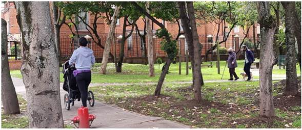 Personas desplazándose por un parque. Nota: mujer transitando por el espacio público con coche de bebé y presencia de personas de la tercera edad caminando en un parque junto a su mascota