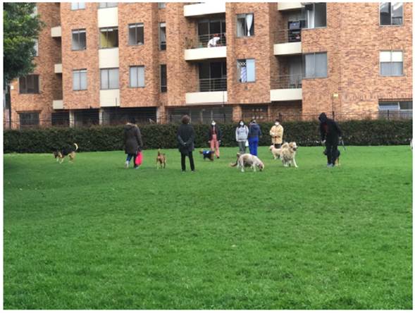 Parque con personas y mascotas. Nota: personas realizando actividades de paseo y juego a mascotas en un parque